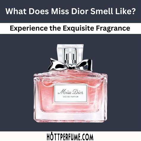 miss dior geschichte|what does miss dior smell like.